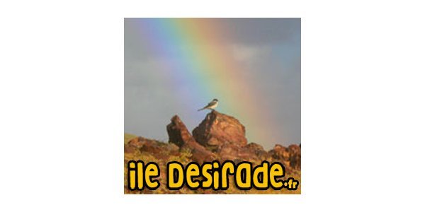 Image: 